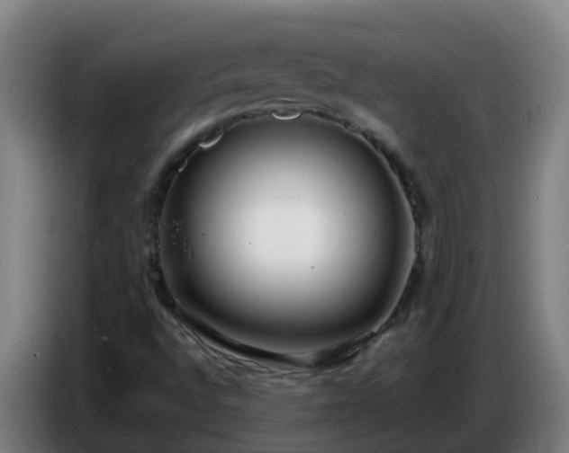 X0000086781496200704201814