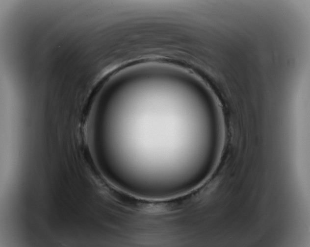 X0000086781497200704201814