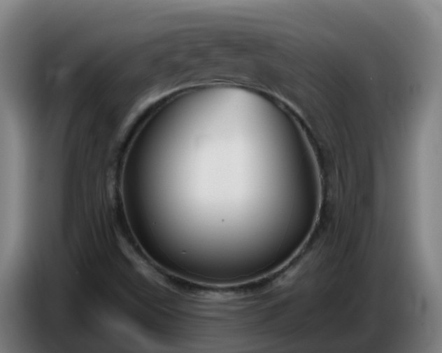 X0000086781499200704201814