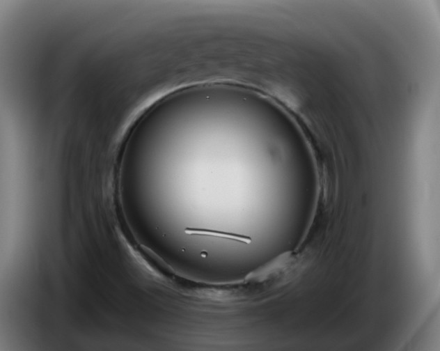 X0000086781500200704201814