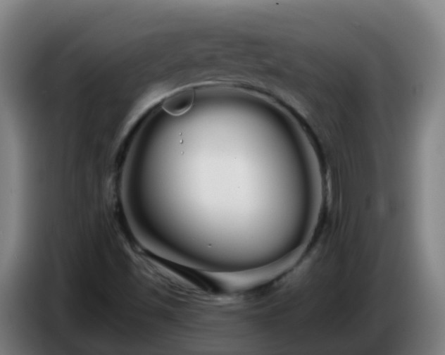 X0000086781501200704201814