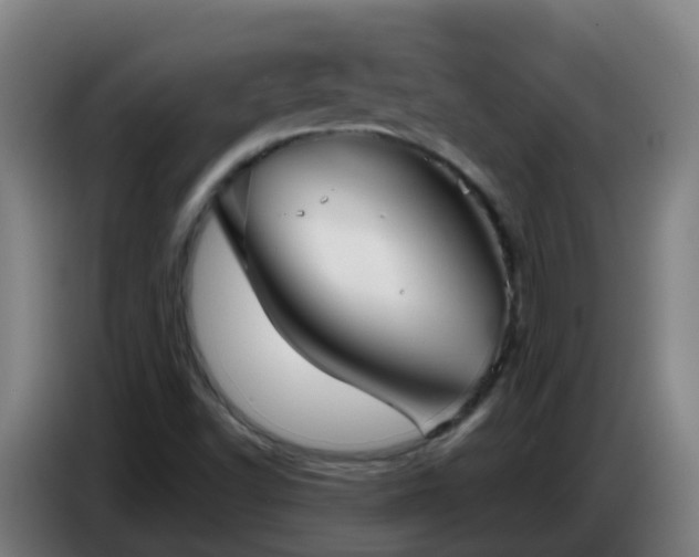 X0000086781502200704201814