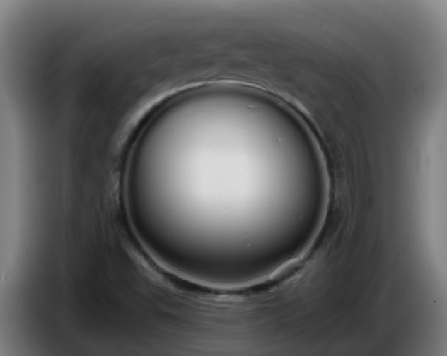 X0000086781503200704201814