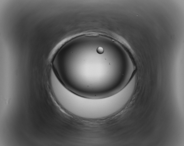 X0000086781504200704201814