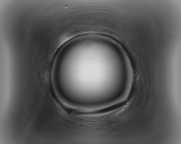 X0000086781505200704201814