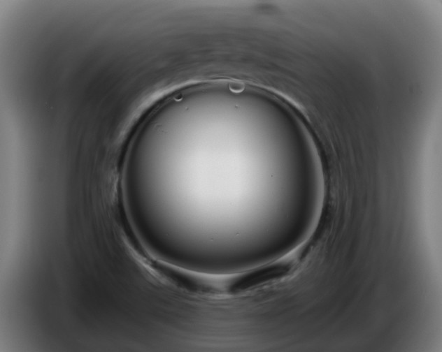 X0000086781507200704201814