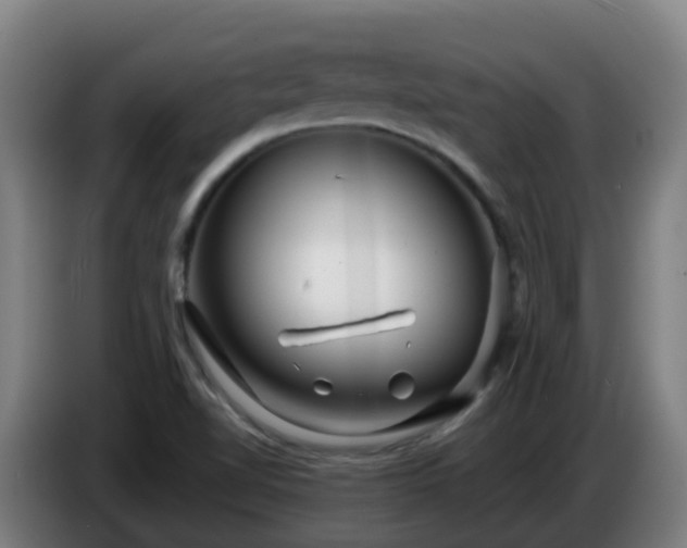 X0000086781510200704201814