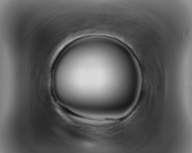 X0000086781511200704201814