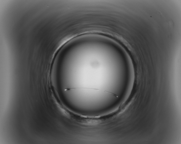 X0000086781513200704201814