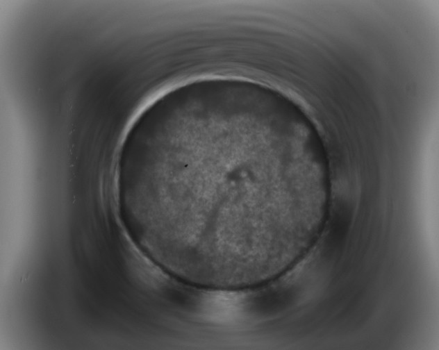 X0000086781514200704201814