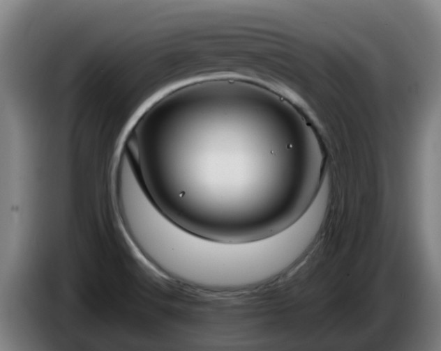 X0000086781516200704201814