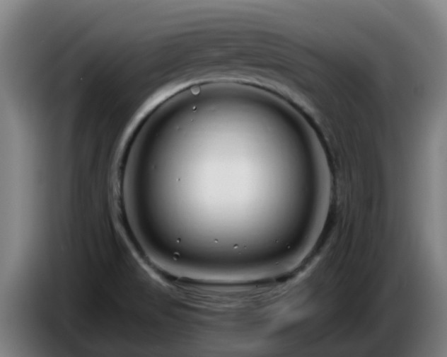 X0000086781517200704201814