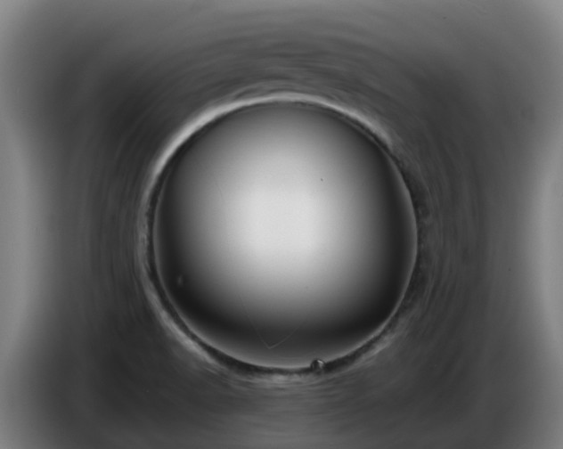 X0000086781518200704201814