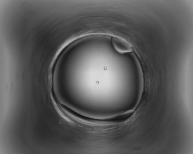 X0000086781519200704201814