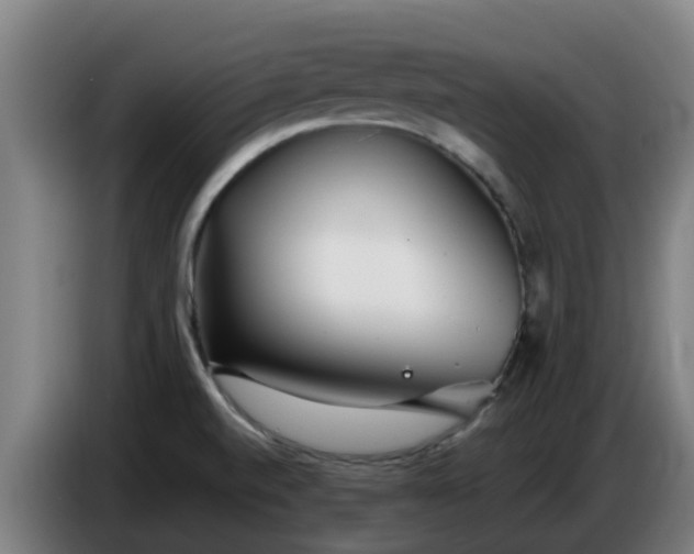 X0000086781520200704201814