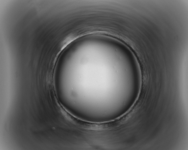 X0000086781521200704201814