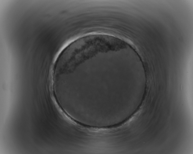 X0000086781522200704201814