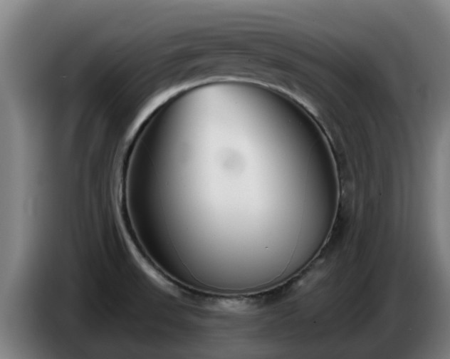 X0000086781523200704201814