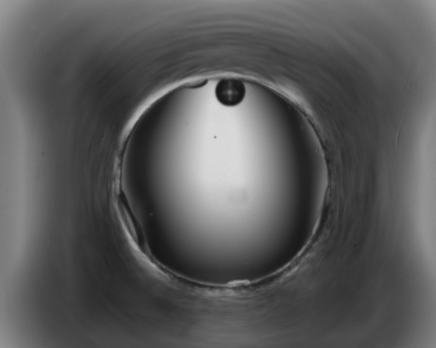 X0000086781524200704201814