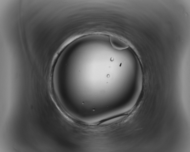 X0000086781525200704201814