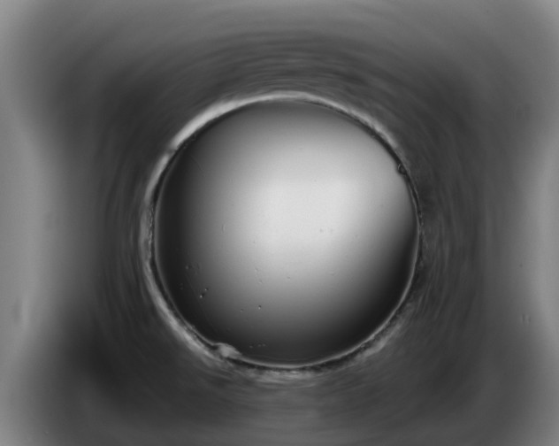 X0000086781526200704201814