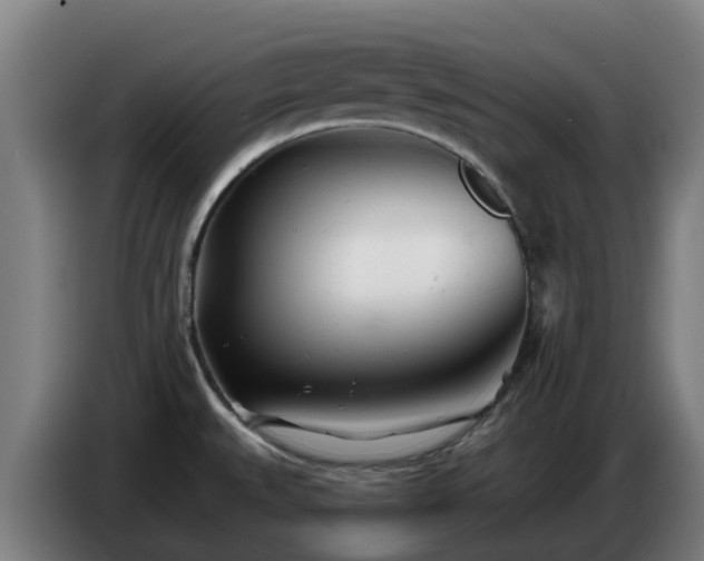 X0000086781527200704201814