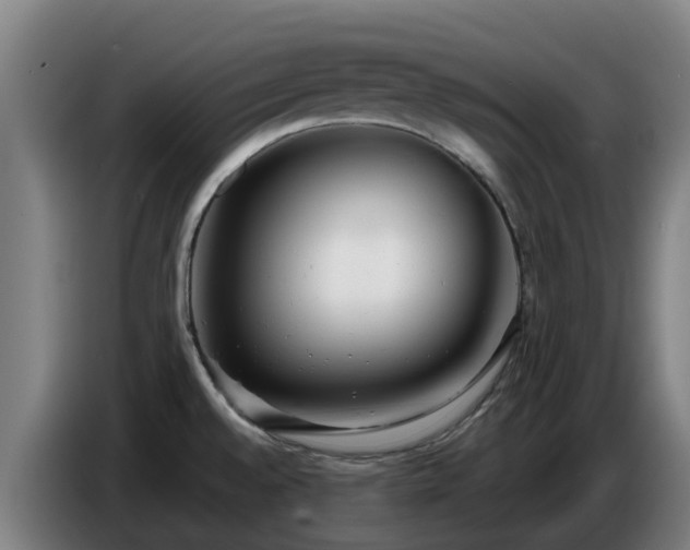 X0000086781528200704201814