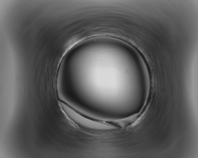 X0000086781529200704201814