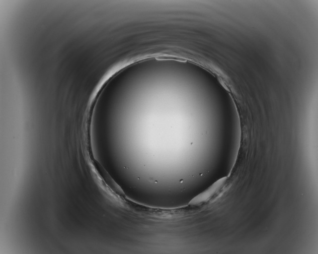 X0000086781530200704201814