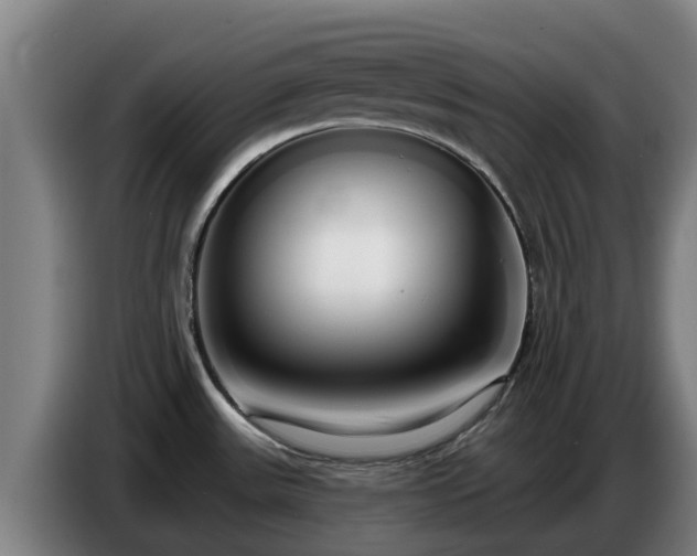 X0000086781531200704201814