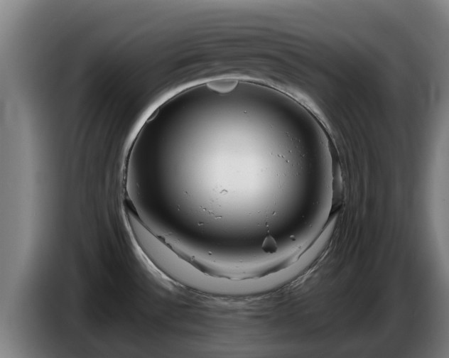 X0000086781532200704201814