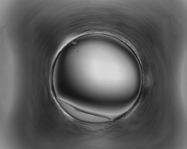 X0000086781533200704201814