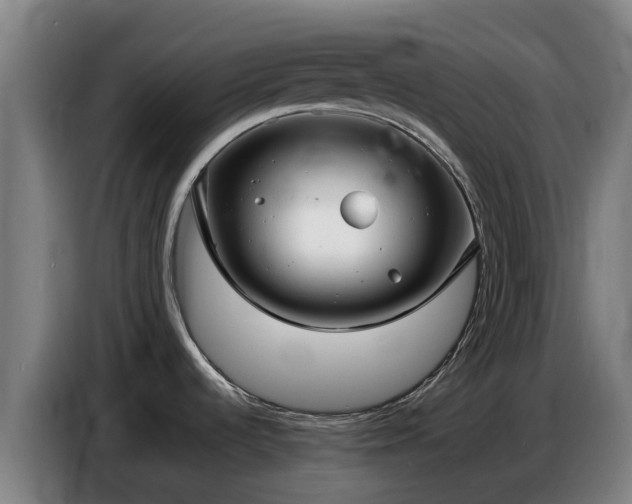 X0000086781536200704201814