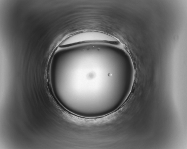 X0000086780002200704271819