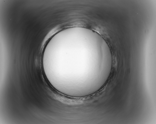 X0000086780004200704271819