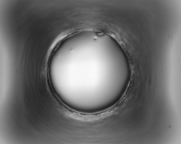 X0000086780006200704271819