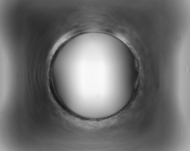 X0000086780007200704271819