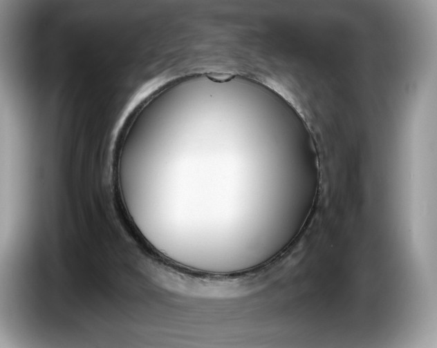 X0000086780008200704271819