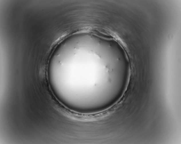 X0000086780010200704271819