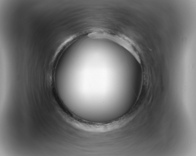 X0000086780015200704271819