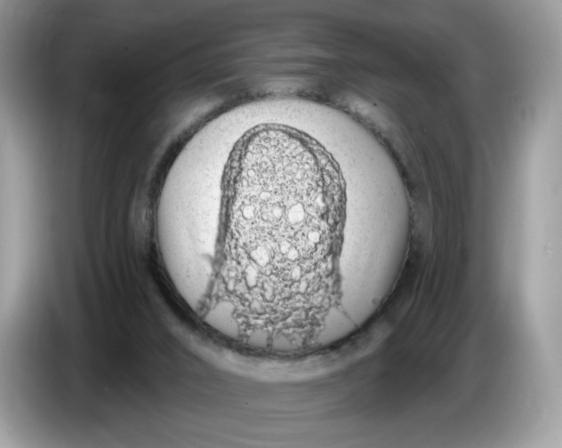 X0000086780016200704271819