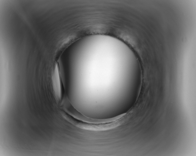 X0000086780017200704271819