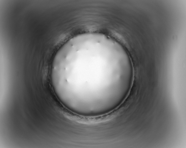 X0000086780018200704271819