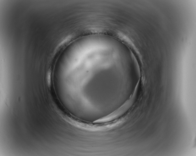 X0000086780019200704271819