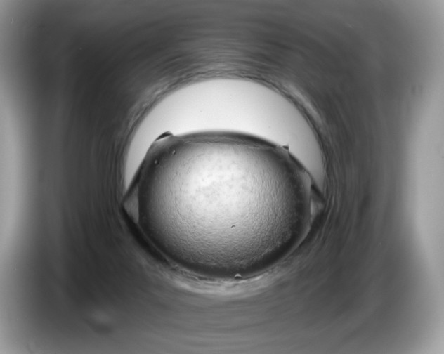 X0000086780023200704271819