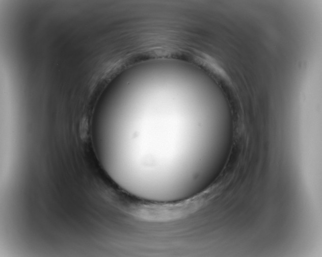 X0000086780025200704271819