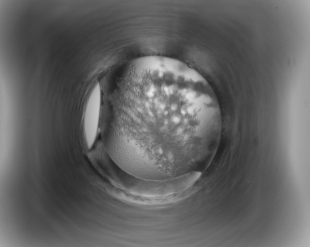 X0000086780027200704271819