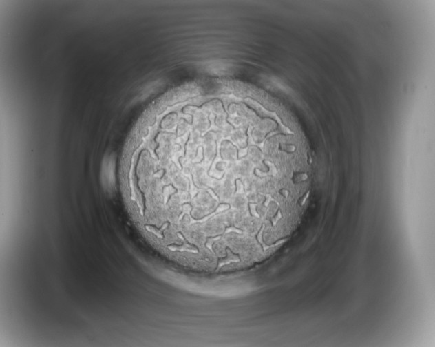 X0000086780028200704271819