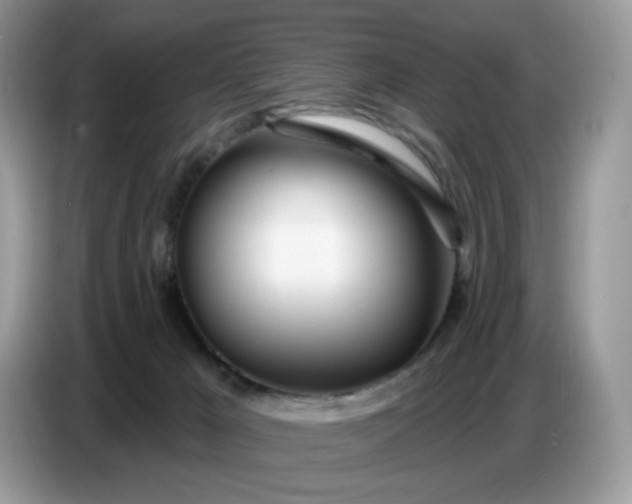 X0000086780029200704271819