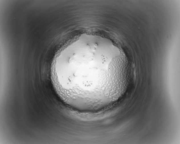 X0000086780030200704271819